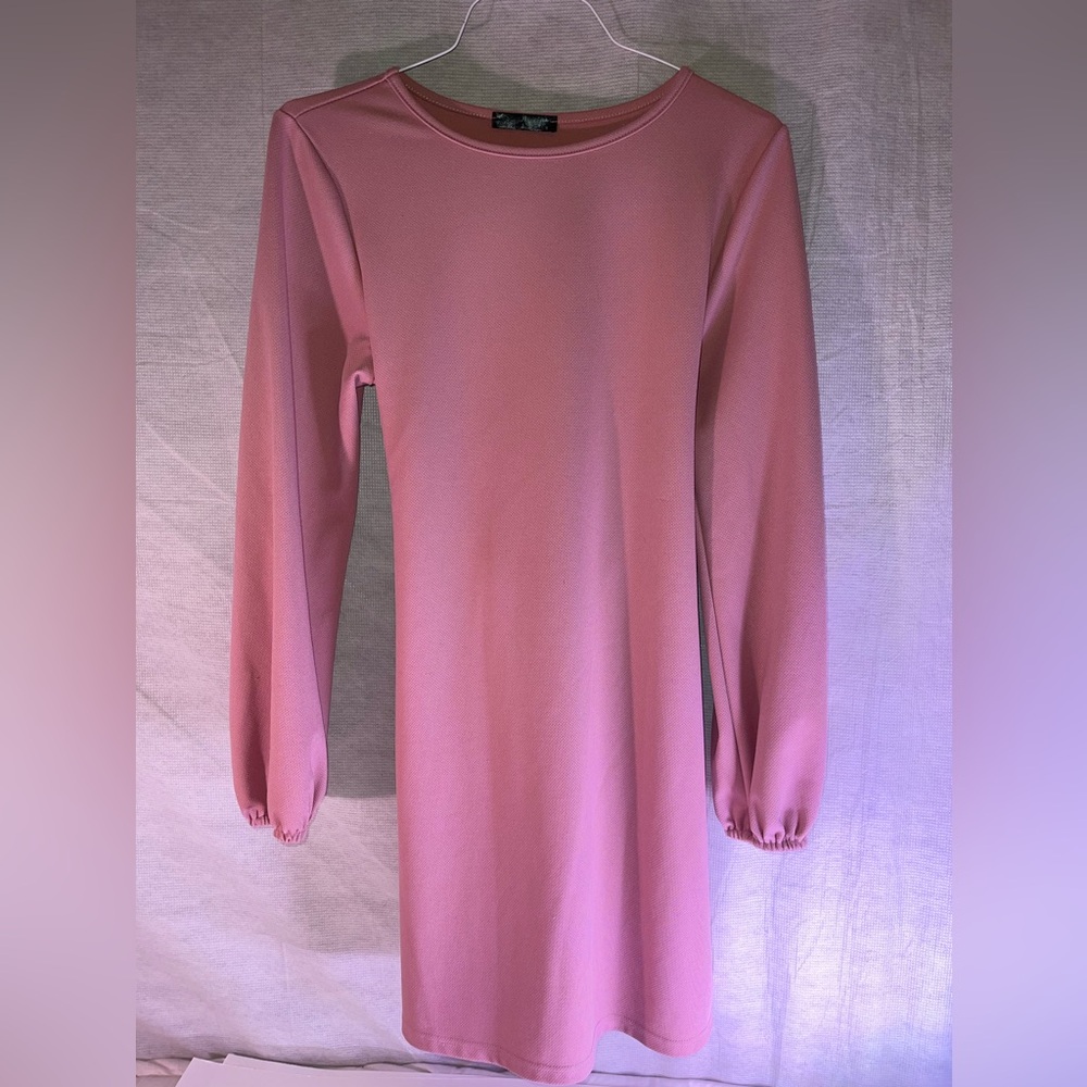 Pretty Garden brand size Large dusty rose long sleeve tie in back dress